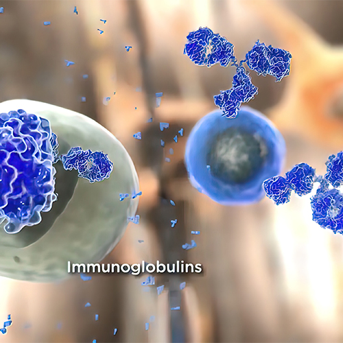 Semaphorin 4A/SEMA4A蛋白-ACROBiosystems百普赛斯