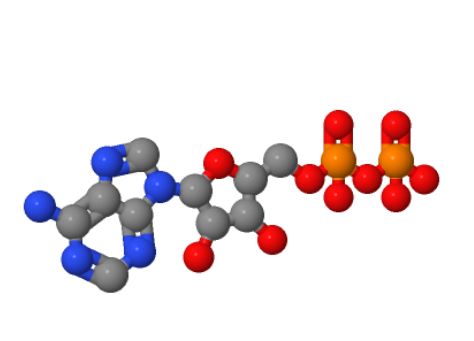 二磷酸腺苷；5-腺苷二磷酸 58-64-0