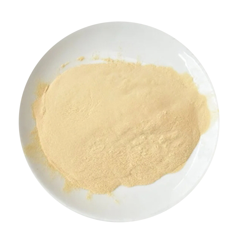 蛋白胨 微生物发酵细菌培养食品添加