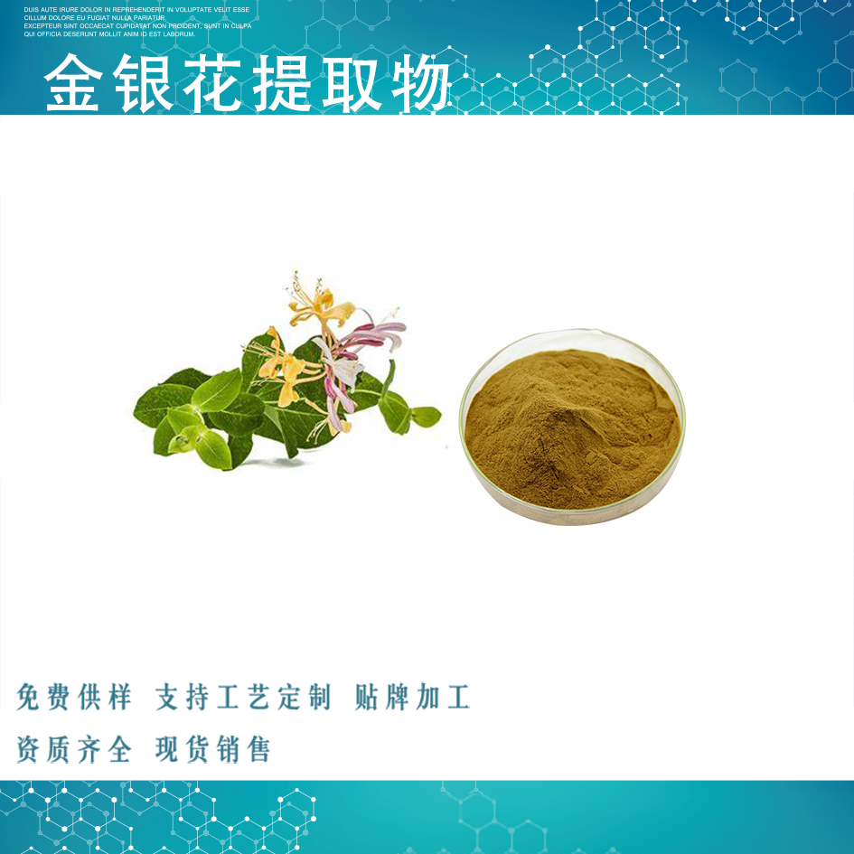 金银花提取物 浓缩粉 食品营养强化剂