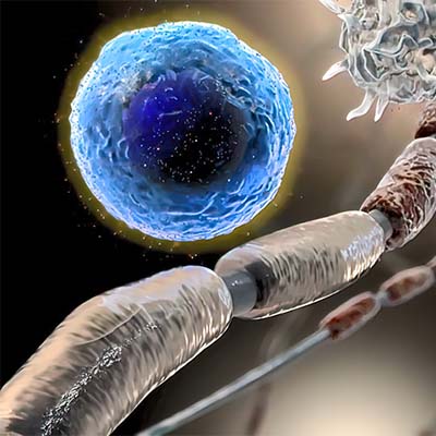 Fusion glycoprotein蛋白-ACROBiosystems百普赛斯