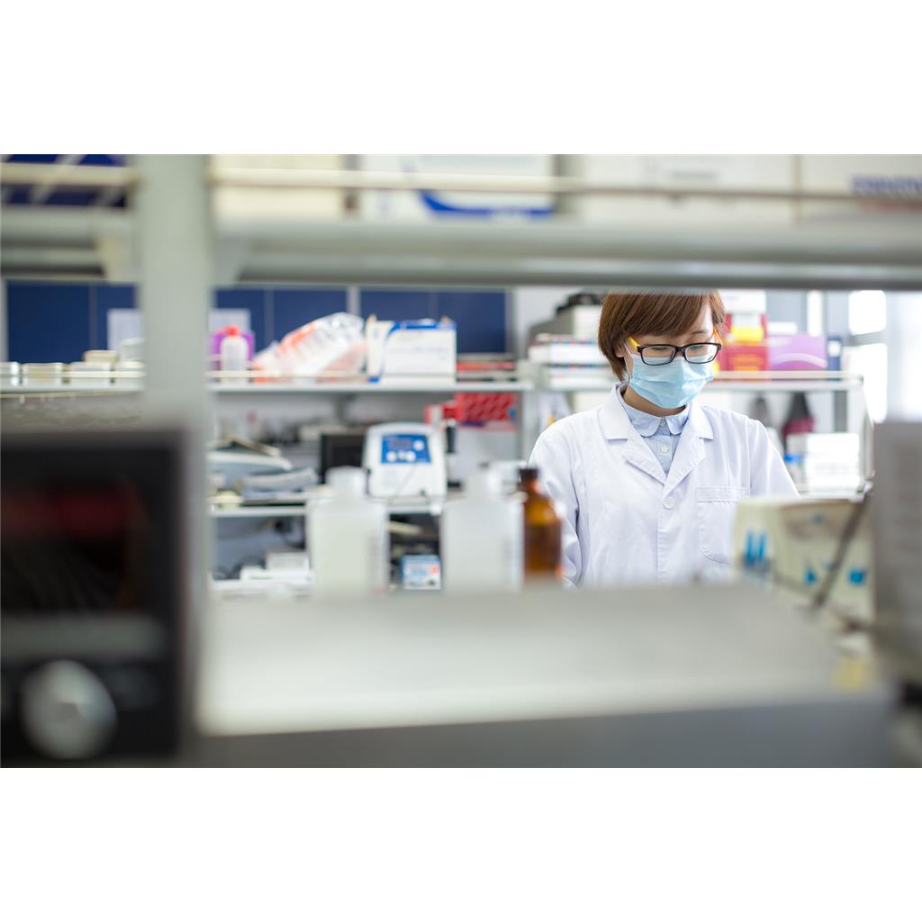 药物安全性评测