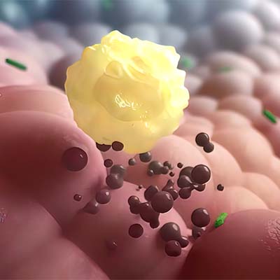 ORF8蛋白-ACROBiosystems百普赛斯