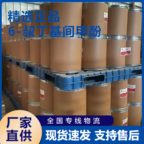  精选 6-叔丁基间甲酚 防腐剂抗氧化剂 88-60-8 