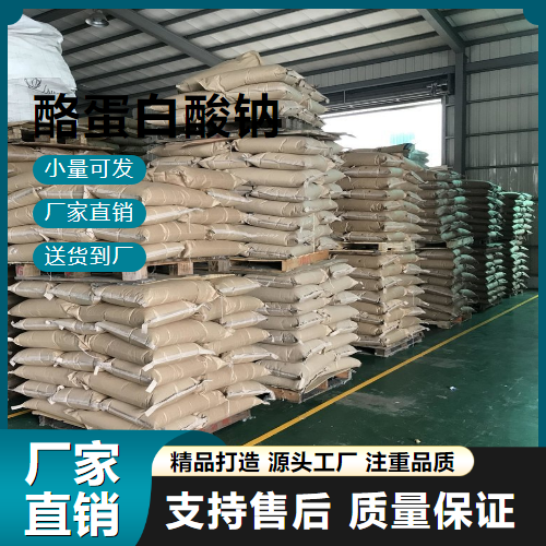   酪蛋白酸钠 9005-46-3 食品添加 