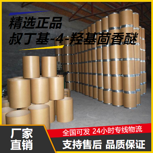   叔丁基-4-羟基茴香醚 25013-16-5 抗氧化剂 