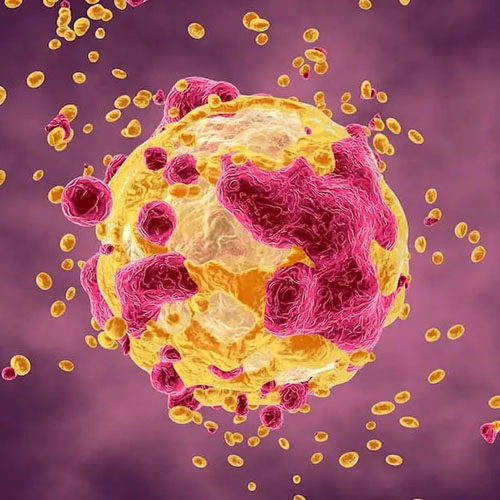 Frizzled-10/FZD10蛋白-ACROBiosystems百普赛斯