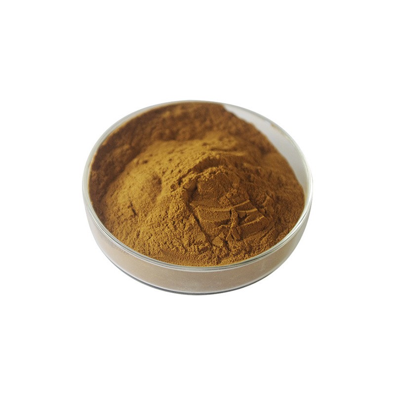 牛蒡根提取物10:1