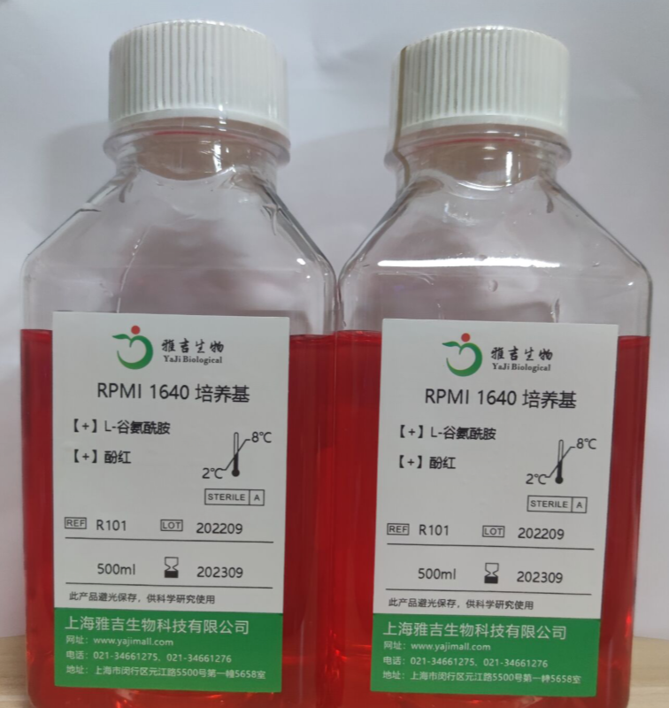 人胚肾细胞HEK293