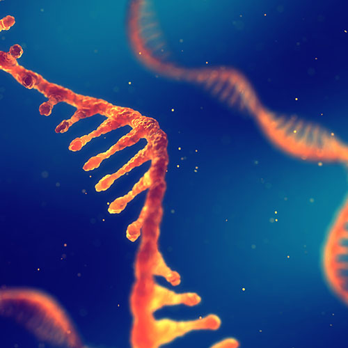 凝血因子VII（Coagulation factor VII）-ACROBiosystems百普赛斯