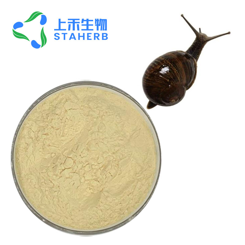 蜗牛提取物蜗牛蛋白40%