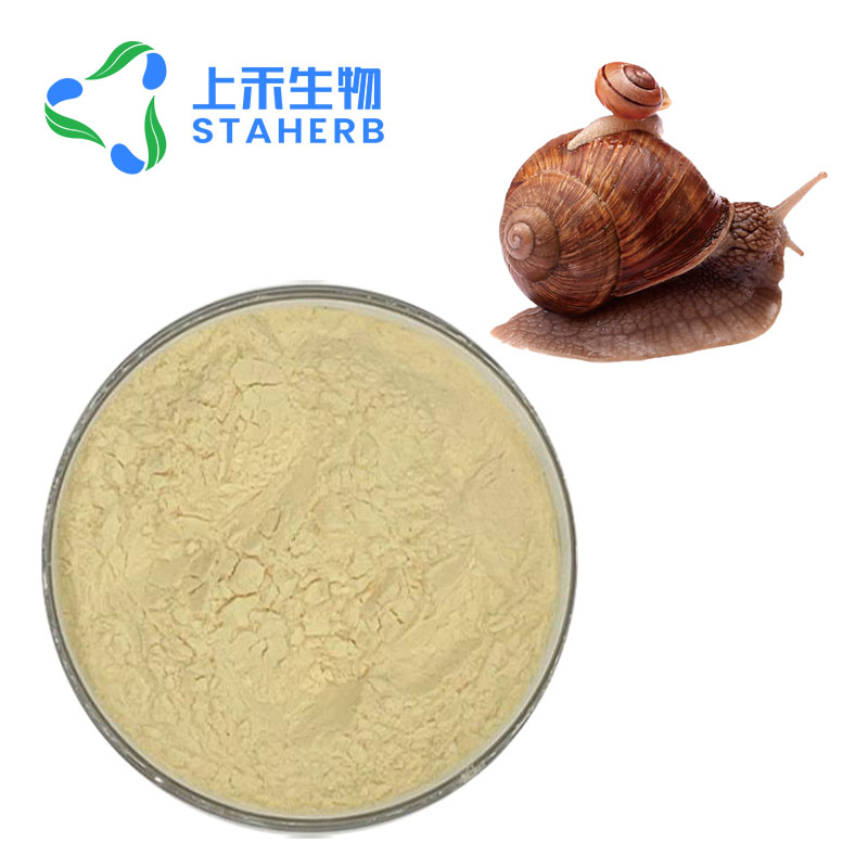 蜗牛提取物蜗牛蛋白40%