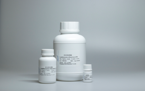 重组羧肽酶B 9025-24-5