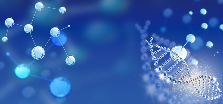 人食管上皮细胞HET1A