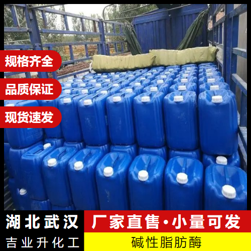  原装正品 碱性脂肪酶 9001-62-1 清洁剂织物去垢剂 