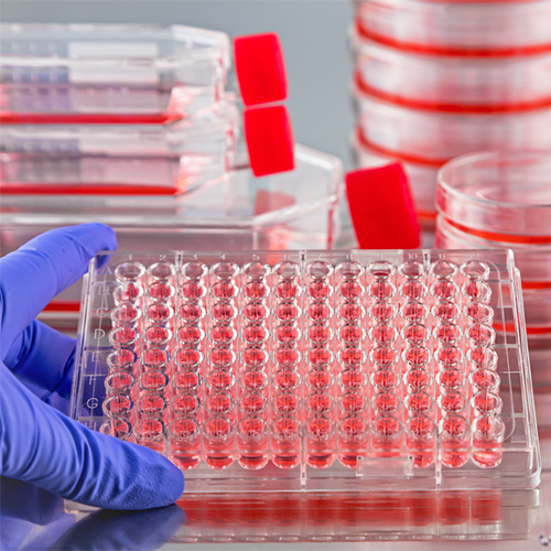 CXCR5蛋白-ACROBiosystems百普赛斯