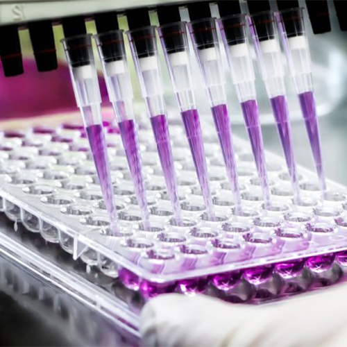 CX3CL1蛋白-ACROBiosystems百普赛斯