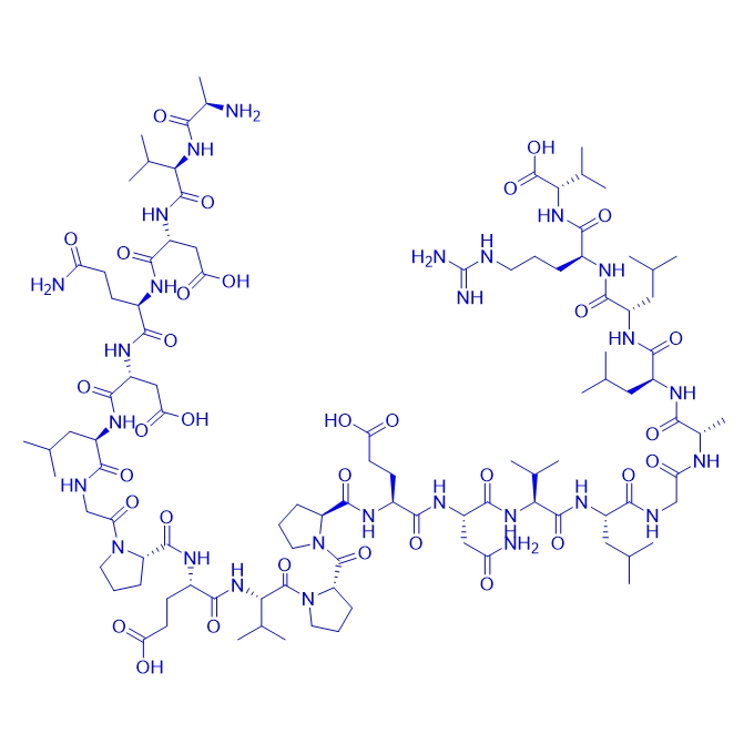鼠源下丘脑神经肽/569364-13-2/PEN (rat)