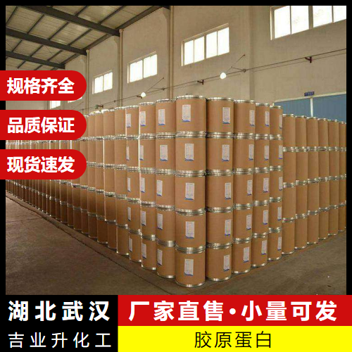  货源充足 胶原蛋白 9064-67-9 化妆品添加剂营养补充剂 