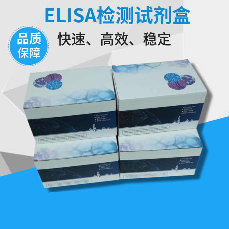  动物组织基因组DNA提取试剂盒 