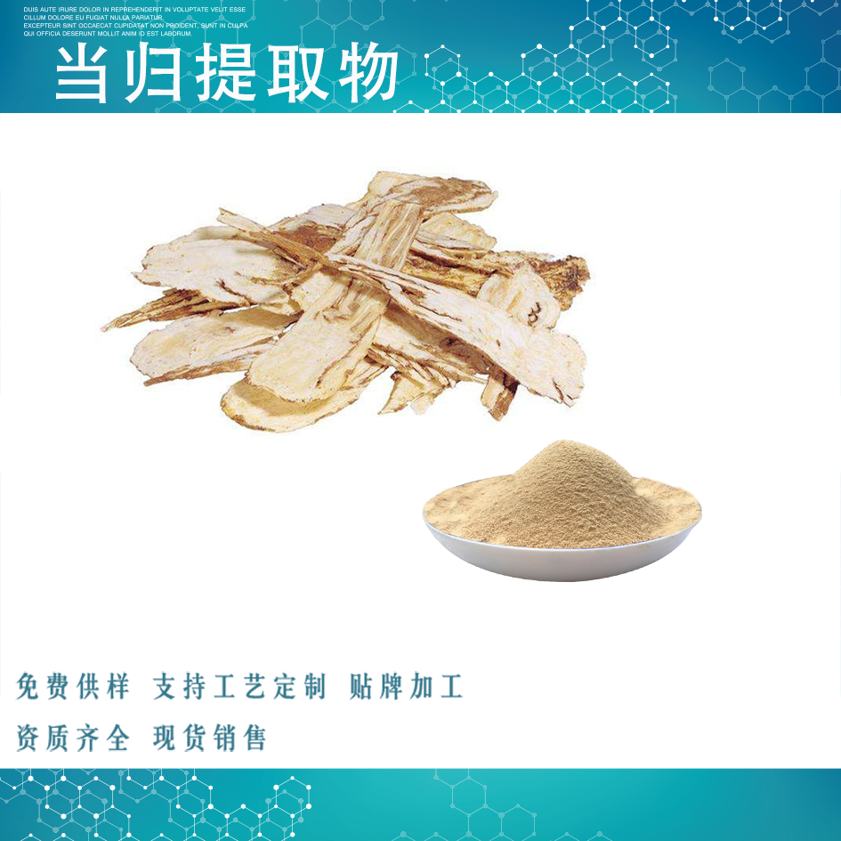 当归提取物
