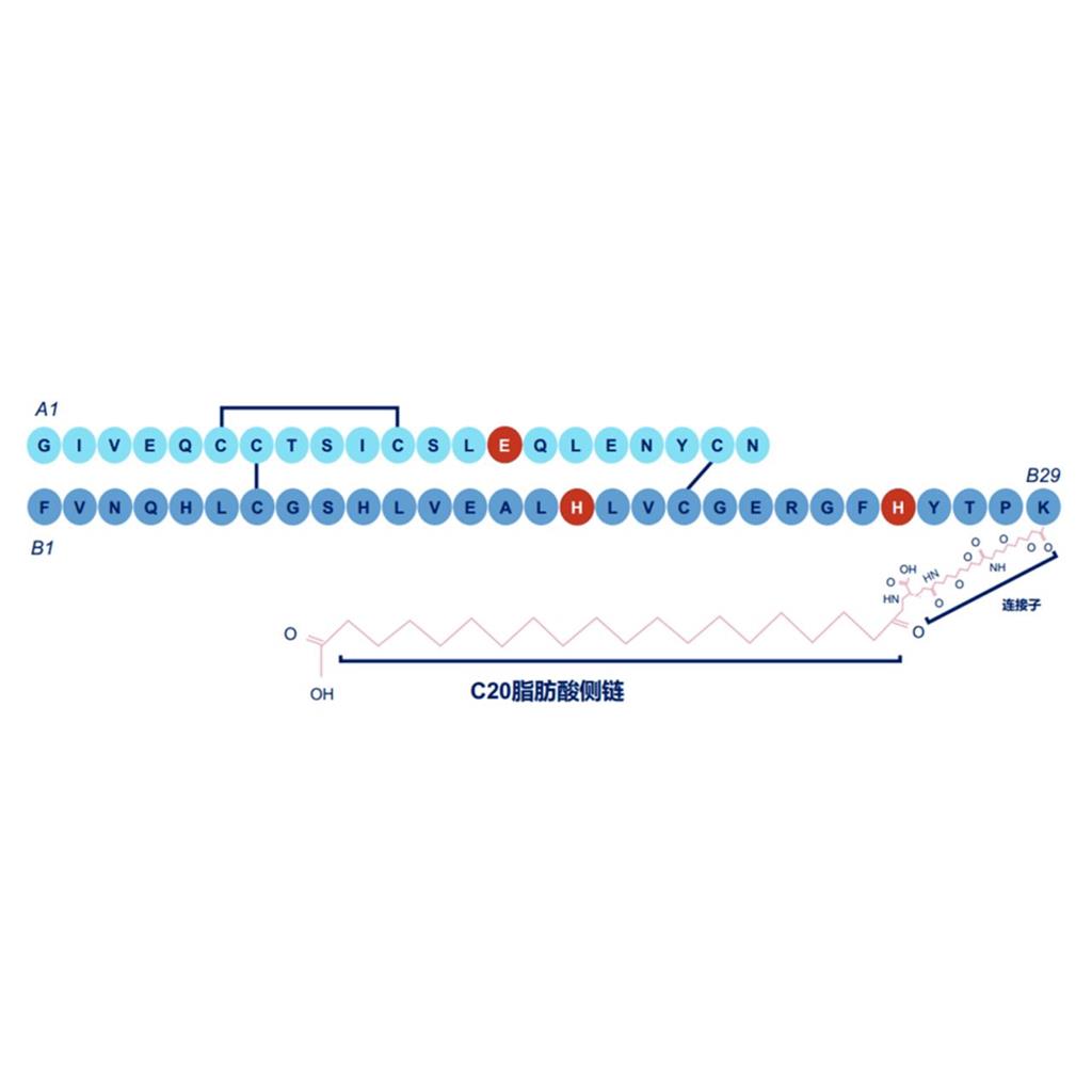 依柯胰岛素 1188379-43-2