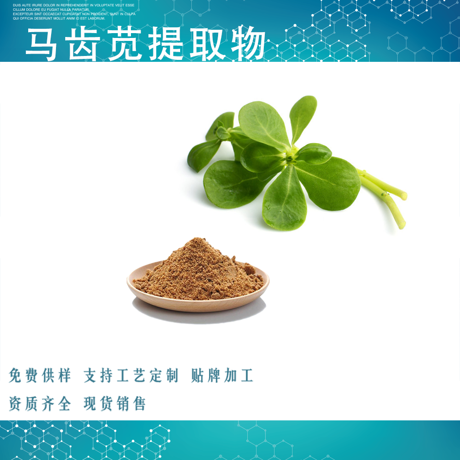 马齿苋提取物