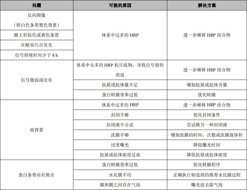 image 2024052209264618421