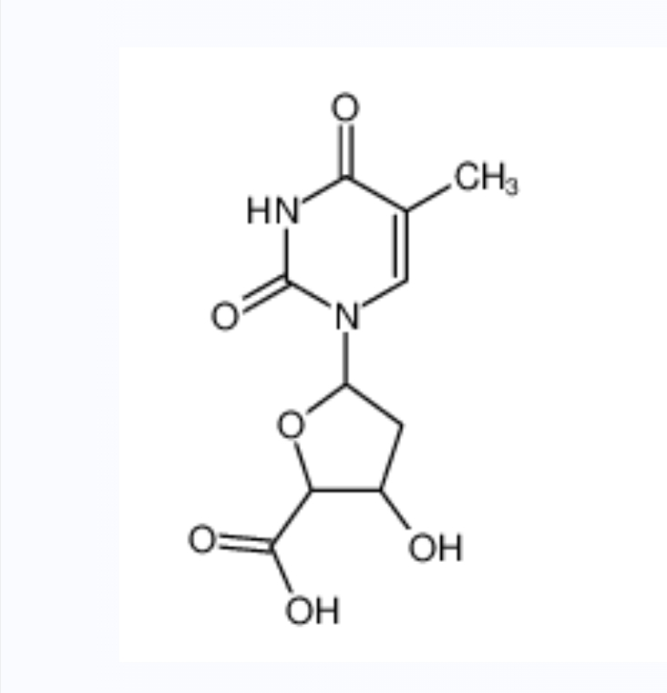 胸腺嘧啶脱氧核苷-5-羧酸 3544-99-8
