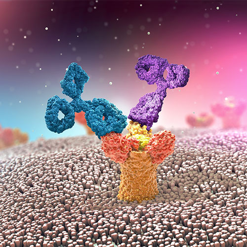 Glycoprotein B (EBV)-ACROBiosystems百普赛斯