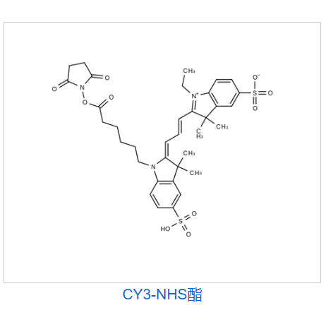 CY3-NHS酯