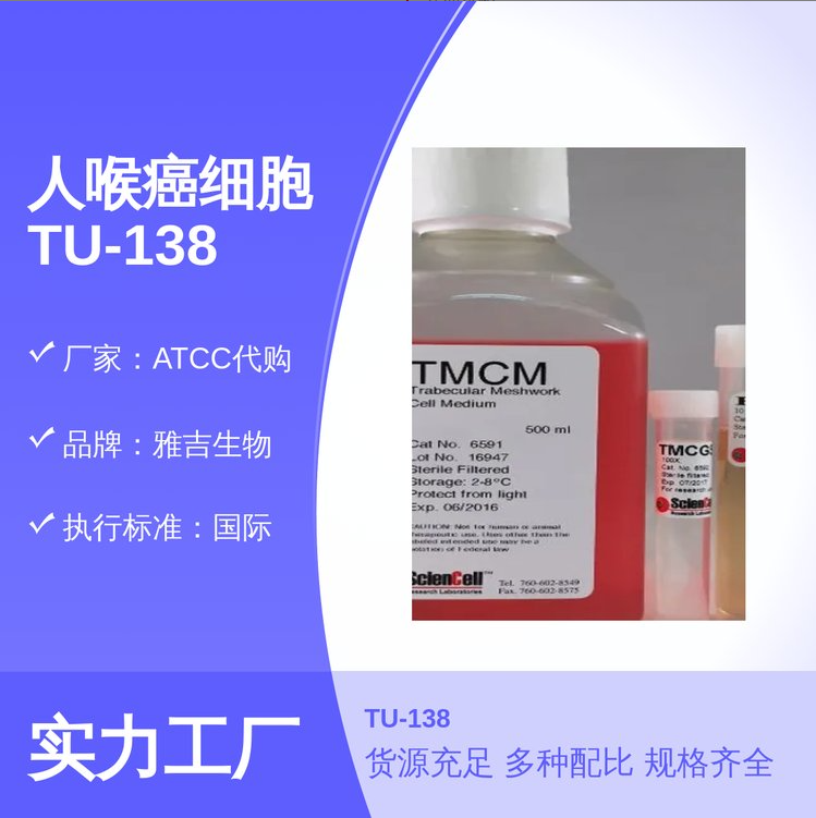 人腹膜间皮细胞HMrSV5