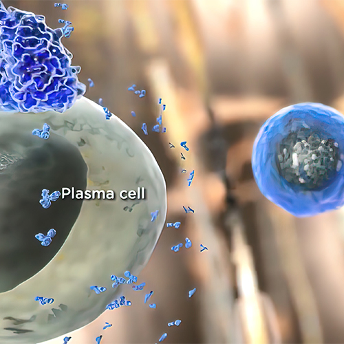 A30L蛋白/抗体-ACROBiosystems百普赛斯