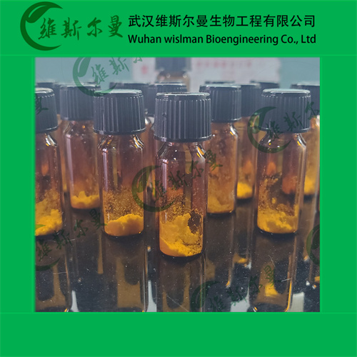 非布司他杂质6-2-[3-[(羟基亚氨基)甲基]-4-(2-甲基丙氧基)苯基]-4-甲基-5-噻唑羧酸乙酯-找维斯尔曼王华