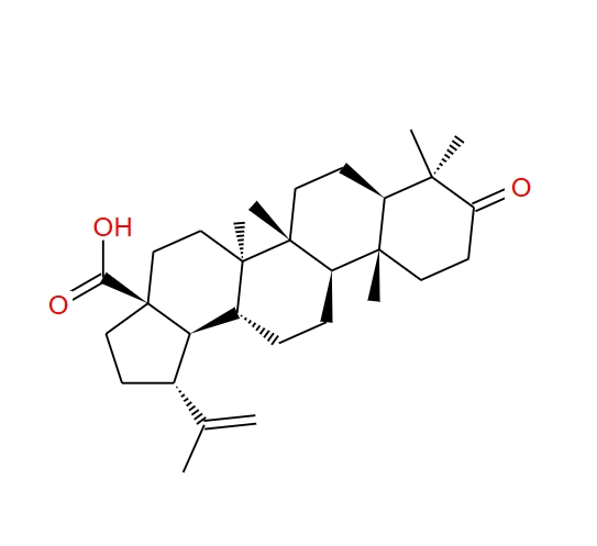 白桦脂酮酸 4481-62-3