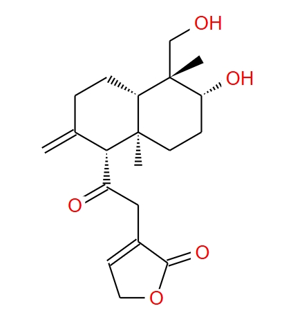14-去氧-11-氧代-穿心莲内酯 42895-57-8