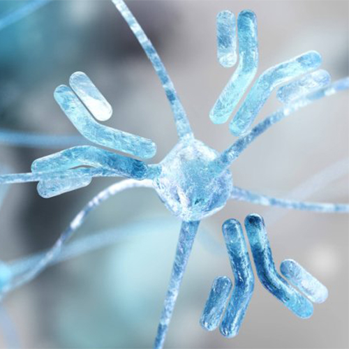 GPR87蛋白-ACROBiosystems百普赛斯