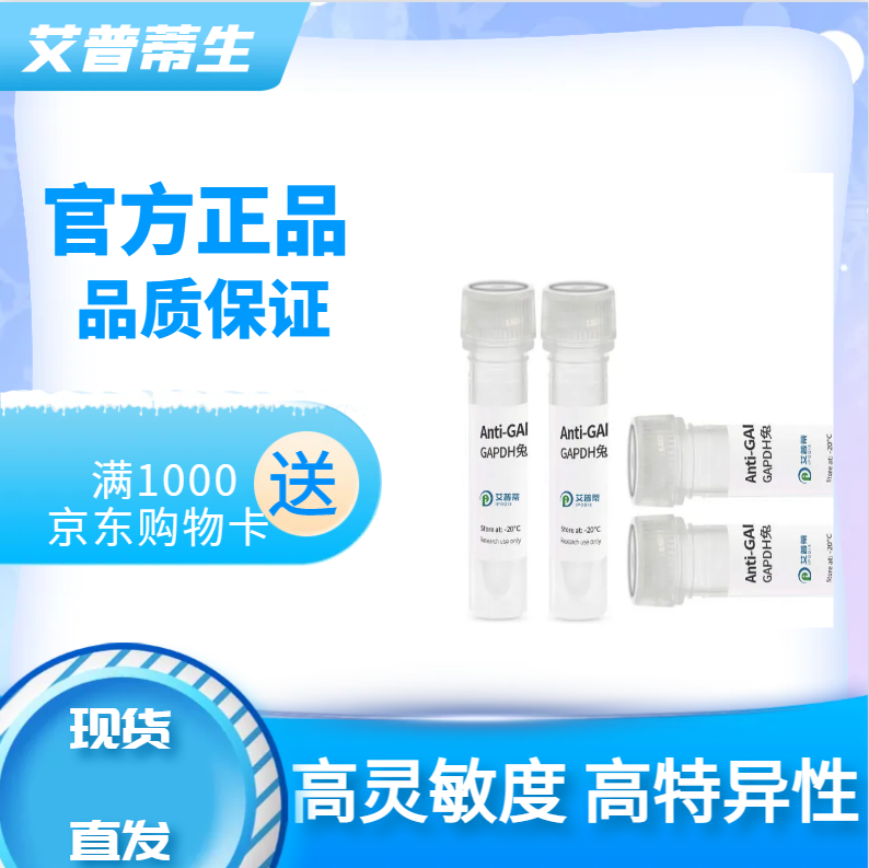 LAMP1抗体；LAMP1 antibody  艾普蒂生物              