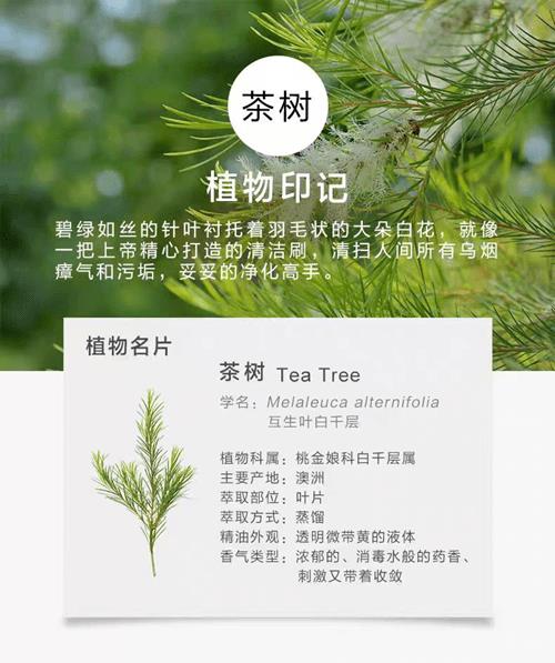 图片3_副本.png 图片3_副本.png