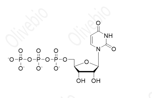 尿苷三磷酸