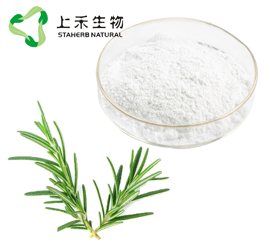 迷迭香提取物, 天然抗氧化剂，迷迭香酸，鼠尾草酸，熊果酸，Rosemary Herb Extract