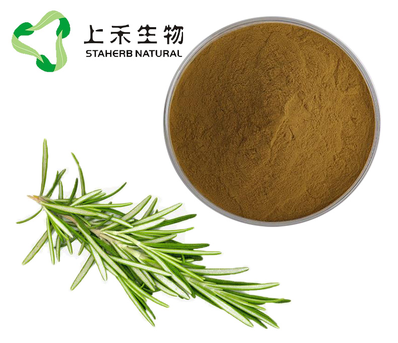 迷迭香提取物, 天然抗氧化剂，迷迭香酸，鼠尾草酸，熊果酸，Rosemary Herb Extract