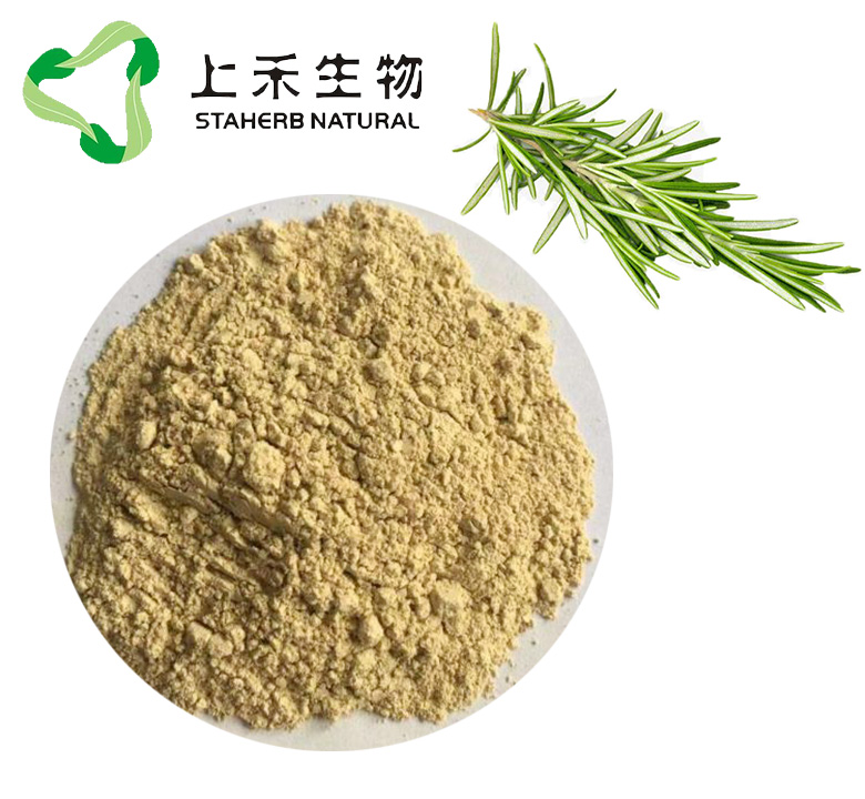 迷迭香提取物, 天然抗氧化剂，迷迭香酸，鼠尾草酸，熊果酸，Rosemary Herb Extract