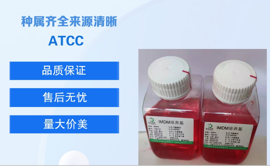 sNF94.3 ATCC细胞