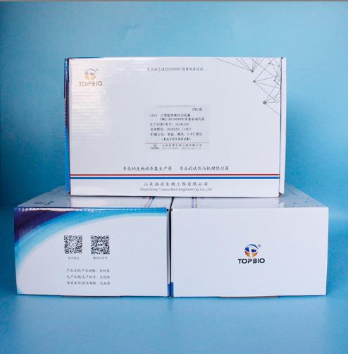 	铜绿假单胞菌生化鉴定试剂盒