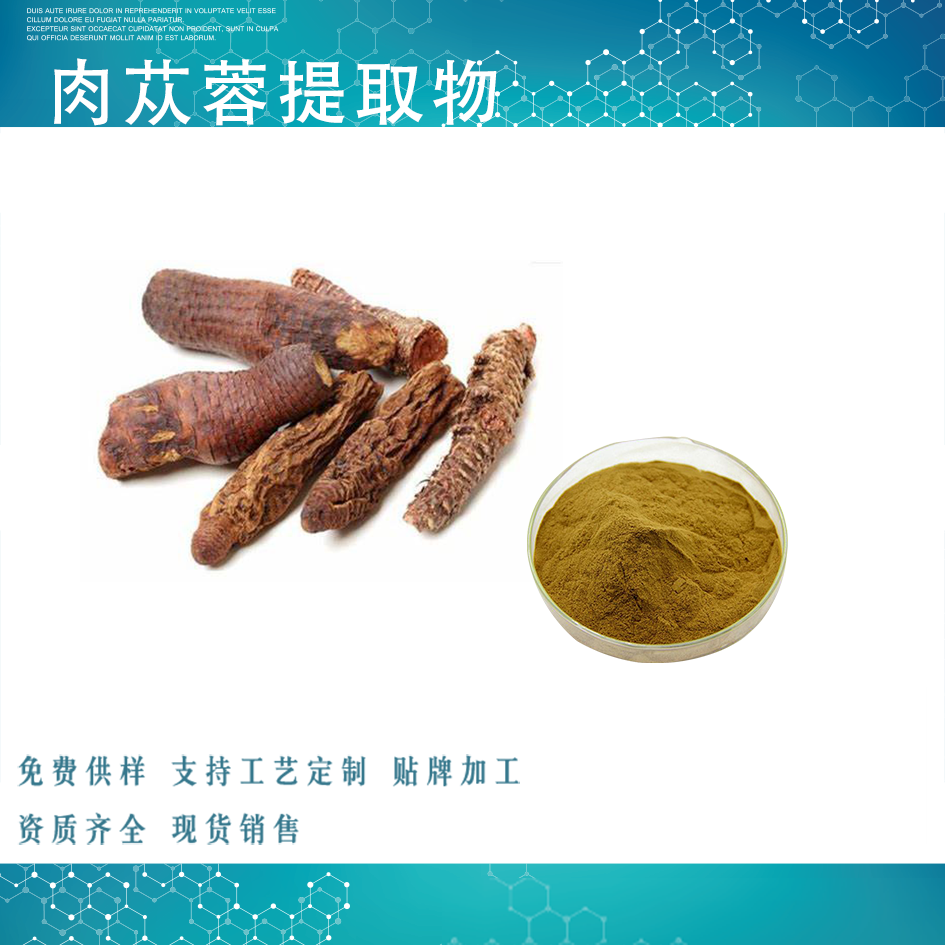 肉苁蓉提取物 20%松果菊苷