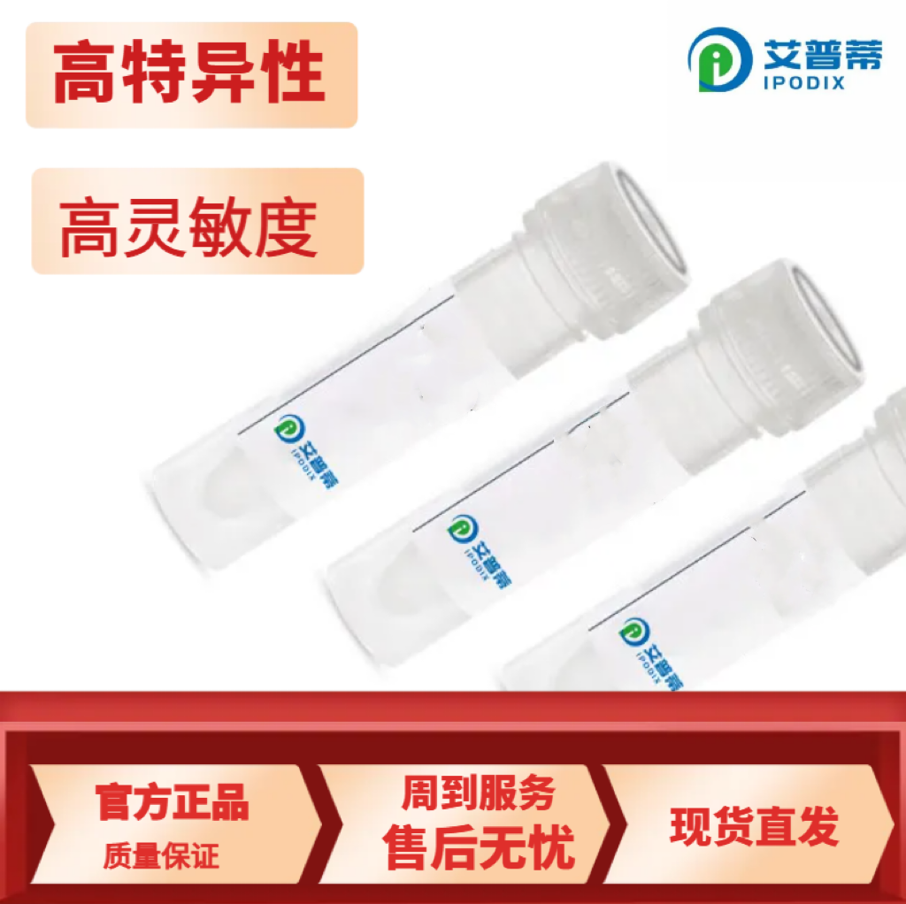 CTNNBL1抗体；CTNNBL1 antibody  艾普蒂生物       