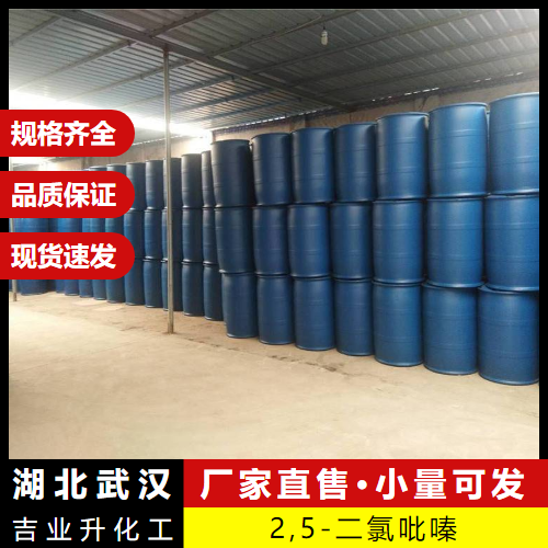  支持试样 2,5-二氯吡嗪 19745-07-4 中间体化学合成 