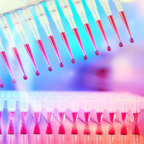 IL-13 ELISA试剂盒-ACROBiosystems百普赛斯