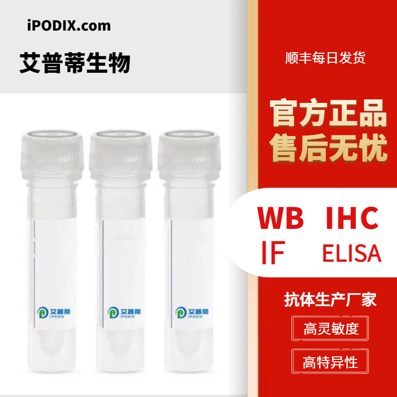 EGLN1抗体；EGLN1 antibody 艾普蒂生物        